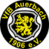 VfB Auerbach Stats