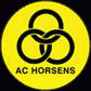 AC Horsens II