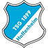 Hoffenheim Stats