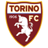 Torino Stats