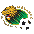 Jaguares Chiapas