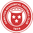 Hamilton Academical Stats