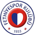 Fethiyespor Stats