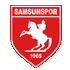 Samsunspor Stats