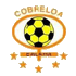 Cobreloa Stats